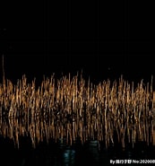 夜光草 に対する画像結果.サイズ: 173 x 185。ソース: www.nipic.com