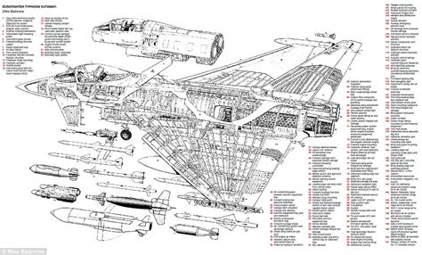 business raf pilots  typhoons  pursuit   pilots  combat