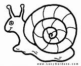 Slug Snail Snails Slugs Designlooter sketch template