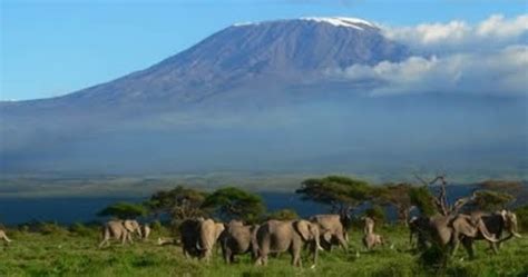 Travel Tips Safari Bookings Kilimanjaro Climbing Trips