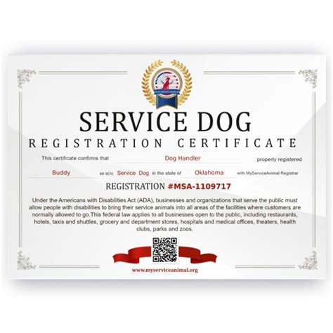 dog certified   service dog
