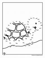 Woojr จาก บทความ Tracing Turtles sketch template