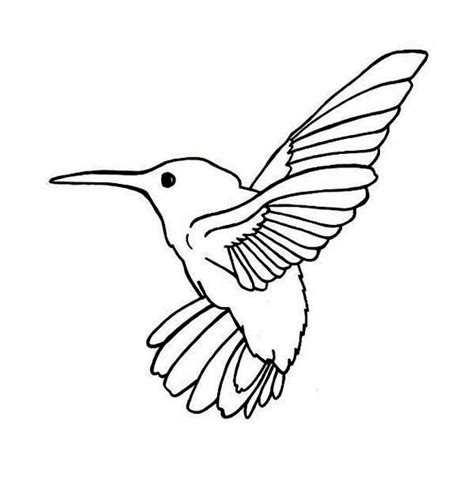 printable hummingbird coloring pages