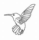 Hummingbird Printable Everfreecoloring Hummingbirds Kidsplaycolor sketch template