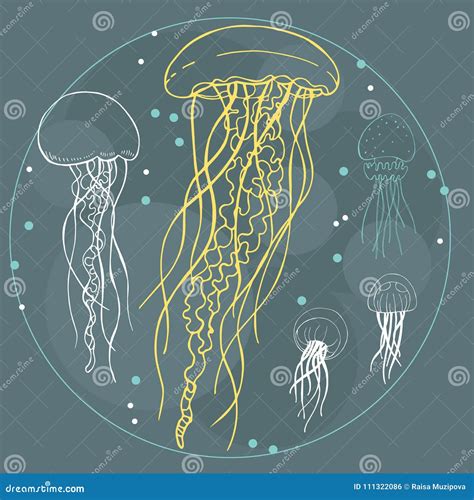 jellyfish  drawing stock illustrations  jellyfish