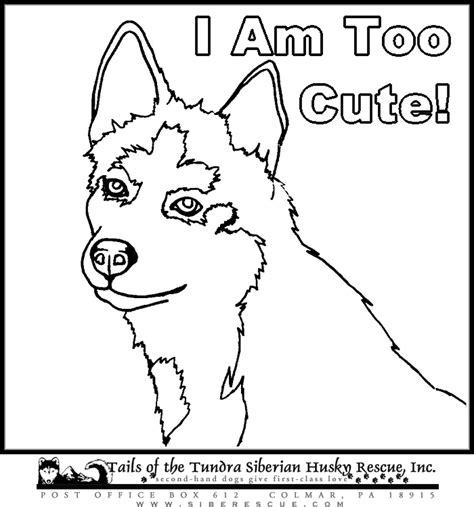 husky puppy coloring pages   husky puppy coloring