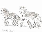 Coloring Pages Horses Horse Nicole Wild Gypsy Print Florian Friday August Created sketch template
