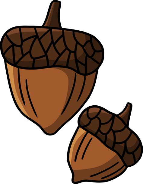 acorn cartoon colored clipart illustration  vector art  vecteezy