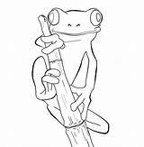Frog Coloring Dart Poison Popular sketch template