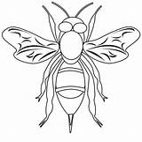 Bee Honey Draw Coloring Pages sketch template
