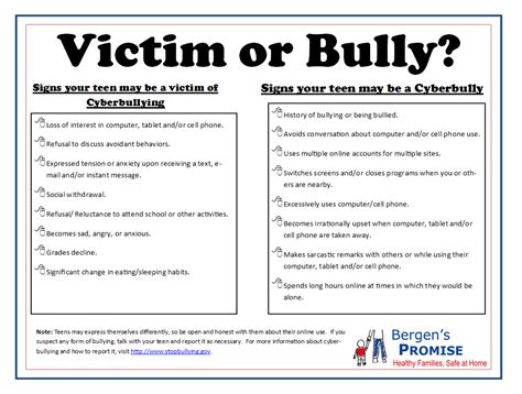 modern bullying victim or cyber bully
