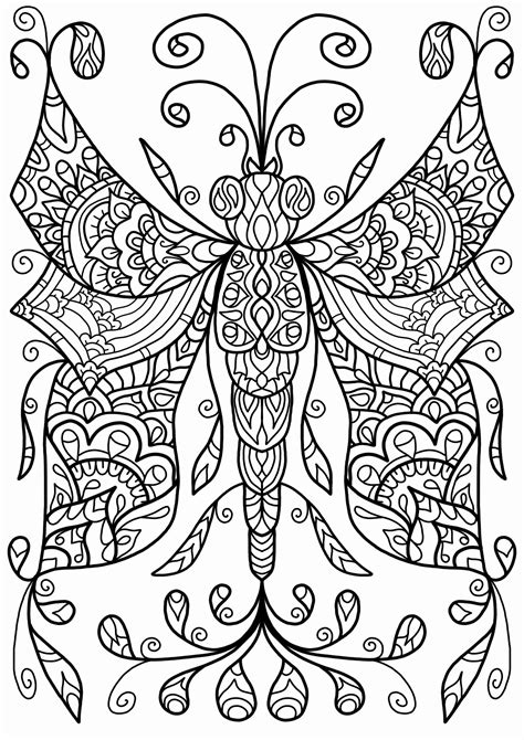 dragonfly coloring pages  adults  getdrawings
