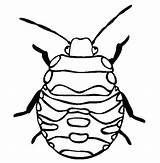 Bug Coloring Beetle Pill Color Pages Drawing Stink Clipartmag Print Place Printable Getdrawings Getcolorings Beetles Tocolor sketch template