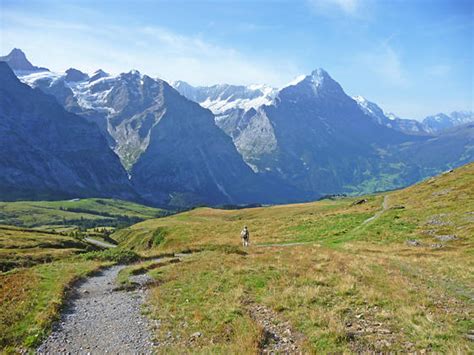 grosse scheidegg   hiking trail  grindelwald switzerland