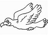 Uccelli Gaviota Ptice Ptica Seagull Dvadeset Dva Bojanke Crtež Crtezi Seagulls sketch template