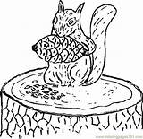Squirrel Pine Eating Cone Coloring Pages Online Svg Hi Printable Animals Color sketch template