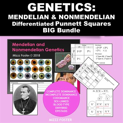 Genetics Punnett Squares Mendel Non Mendelian Heredity