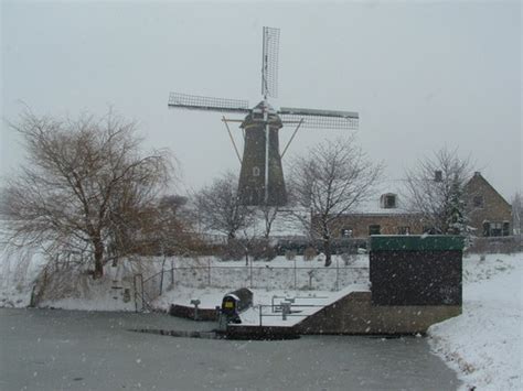 seneca sc city hoofddorp the netherlands in wintercolour photo picture image south