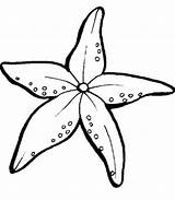 Starfish Zeester Sheets Coloringfolder sketch template