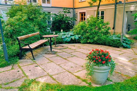 courtyard garden design learn  gardening   courtyard