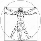 Vitruvian Man Vinci Da Leonardo Vector Drawing El sketch template