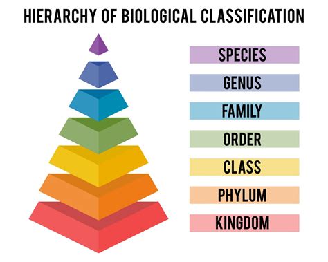 australian taxonomy resources number   million specimens