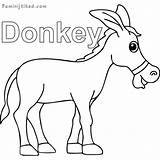 Donkey Donkeys Mammals sketch template