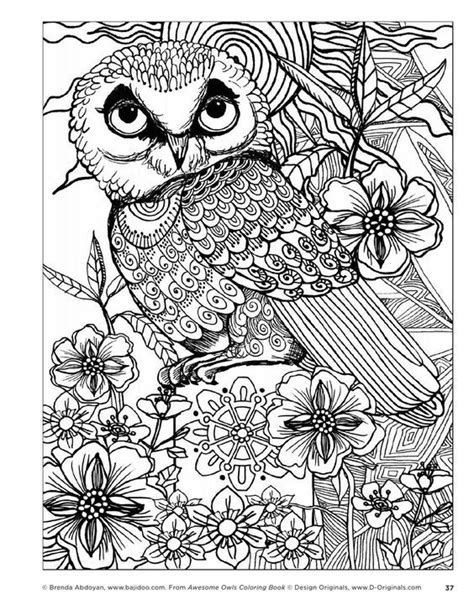 pin  kim ellington  coloring  adults owl coloring pages