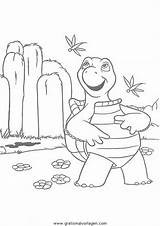 Bosco Hecke Turtle Trickfilmfiguren Malvorlage sketch template