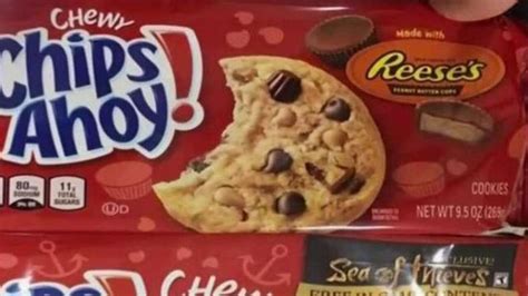 south florida teen with peanut allergy dies after eating chips ahoy cookie