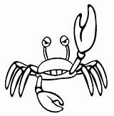 Crab Colorat Rac Desene Planse Raci Kolorowanki Animale Kraby Raki Insecte Granchio Dzieci Crabs Thecolor Fise Desenat Creatures Racul Educative sketch template