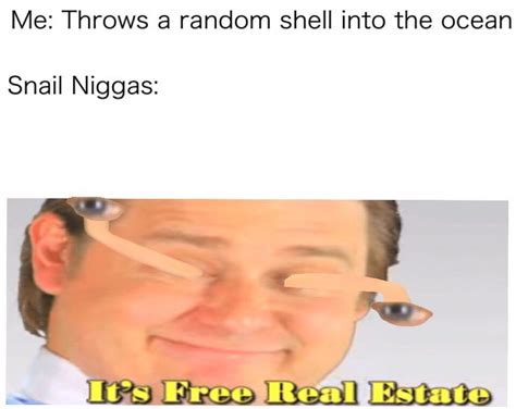 snail niggas meme by bolt93 memedroid