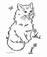 Coloring Cat Pages Printable Kitten Animal Cute Kids Garden Sheets Cats Butterfly Kitty Print Color Honkingdonkey Kittens Pet Dot Book sketch template