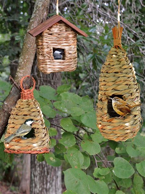build  yellow finch bird house bird lover