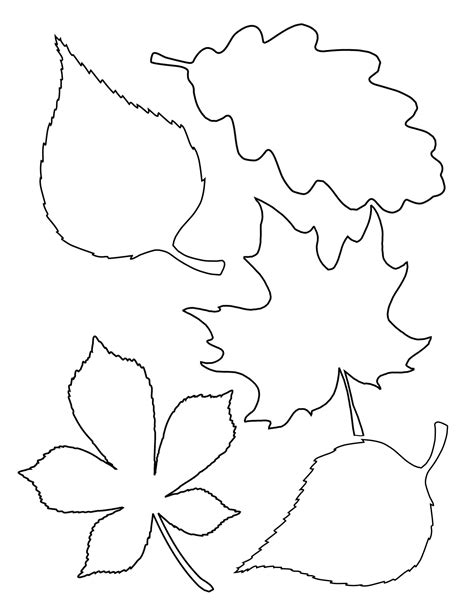 fall leaves cut  printable leaf template