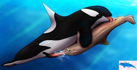 Rule 34 69 Cetacean Cum Dolphin Female Feral Feral On Feral