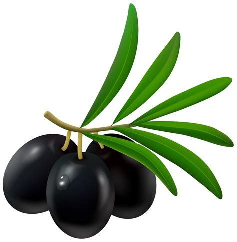 black olives png