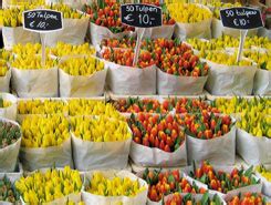 amsterdam main sights bloemenmarkt