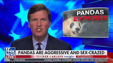 Tucker Carlson S Sex Crazed Pandas Know Your Meme