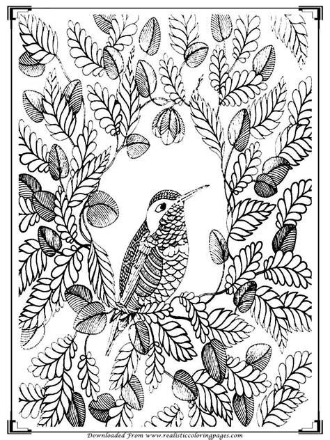 printable coloring pages  birds homecolor homecolor
