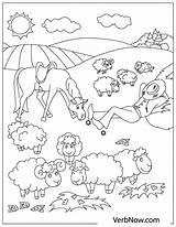 Sheep Verbnow Flock sketch template