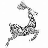 Coloring Pages Reindeer Zentangle Stress Anti Adult Vector Deer Christmas Patterned Animal sketch template