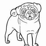 Coloring Mastiff Pug Pages Outline Neapolitan Dog Color Getcolorings Clip Getdrawings Clipart sketch template