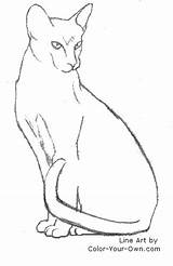 Cat Sitting Oriental Coloring Siamese Sketch Line Drawing Color Cats Pages Sit Draw King Drawings Own Getdrawings Gif Non Paintingvalley sketch template