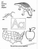 Abc Coloring Book Big Numbers Letters Learn Really Pages sketch template