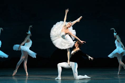swan lake royal opera house review the mariinsky ballet is back on home ground the independent
