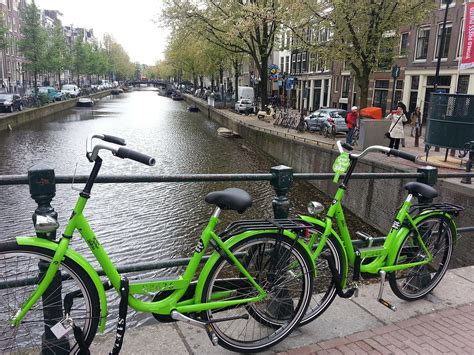 rent a bicycle in the netherlands your guide on how to