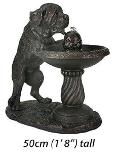 st bernard dog cm indoor outdoor water feature fountain amazoncouk kitchen home