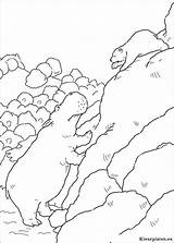 Lars Ijsbeer Kleine Avontuur Kleurplaat Bear Coloring Dibujos Coloriages Plume Osito Ursinho Coloriez Nijlpaard Malvorlagen Eisbar Polaire Lours Ausmalbild Ursos sketch template