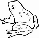 Frog Line Clipart Clip Library sketch template